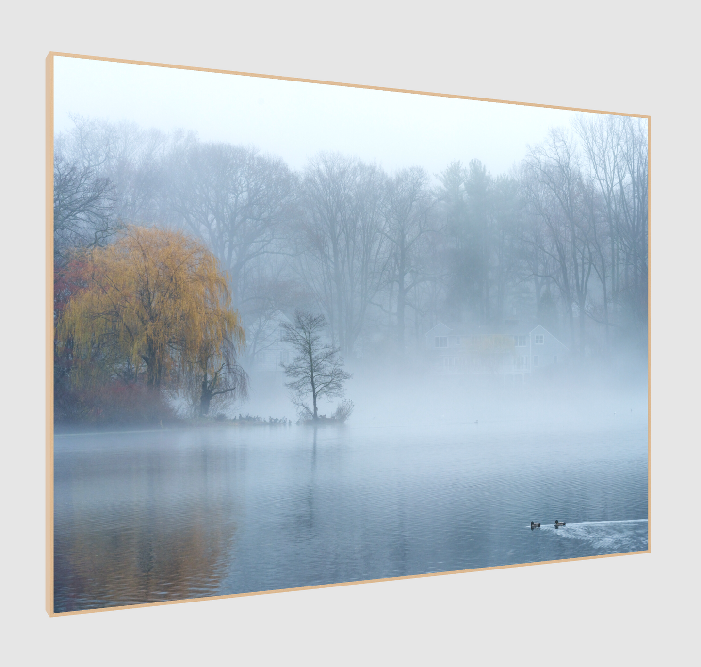 Fog Lake