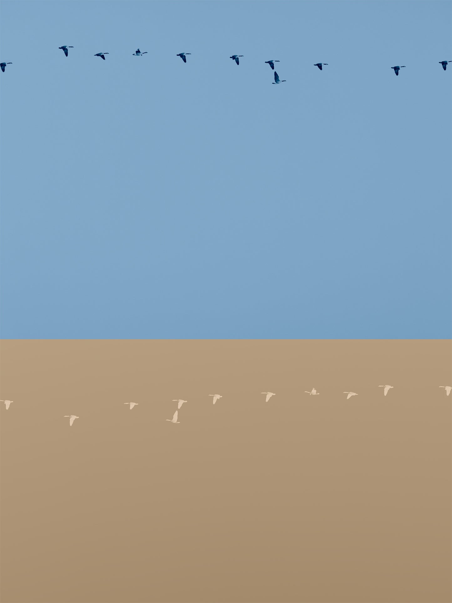 Rondos on Yellow and Blue No.1 (Triptych)