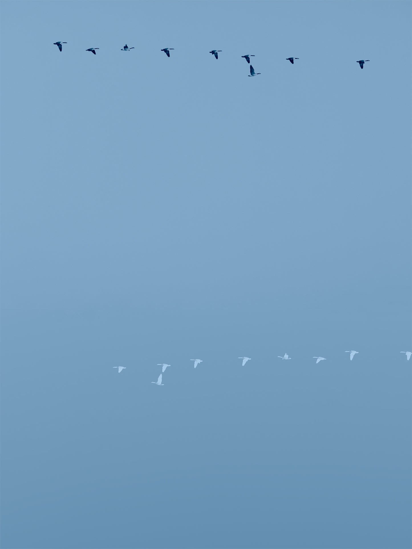 Rondos on Yellow and Blue No.1 (Triptych)