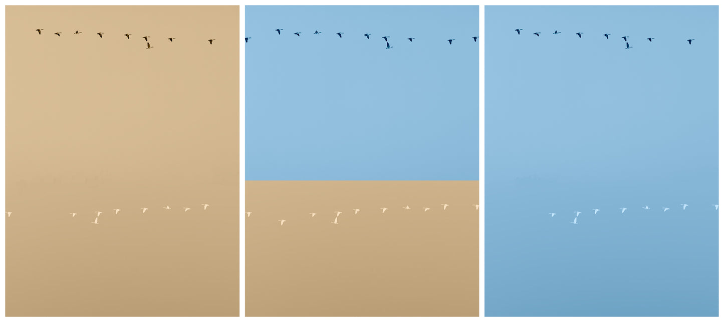 Rondos on Yellow and Blue No.1 (Triptych)