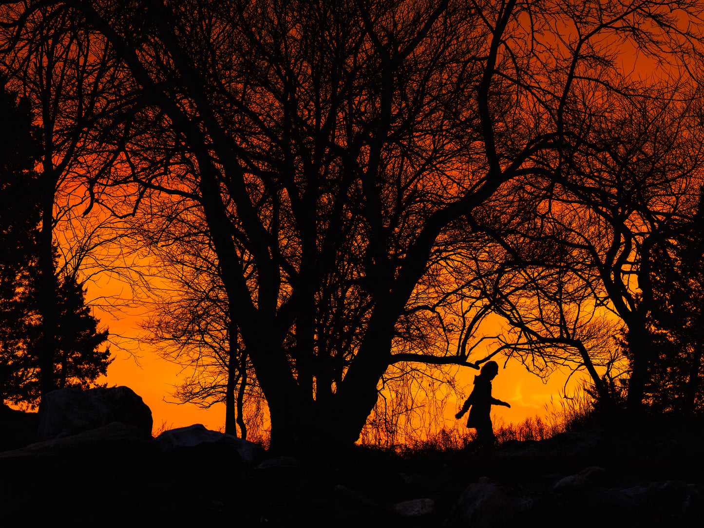 Under the Burning Sky