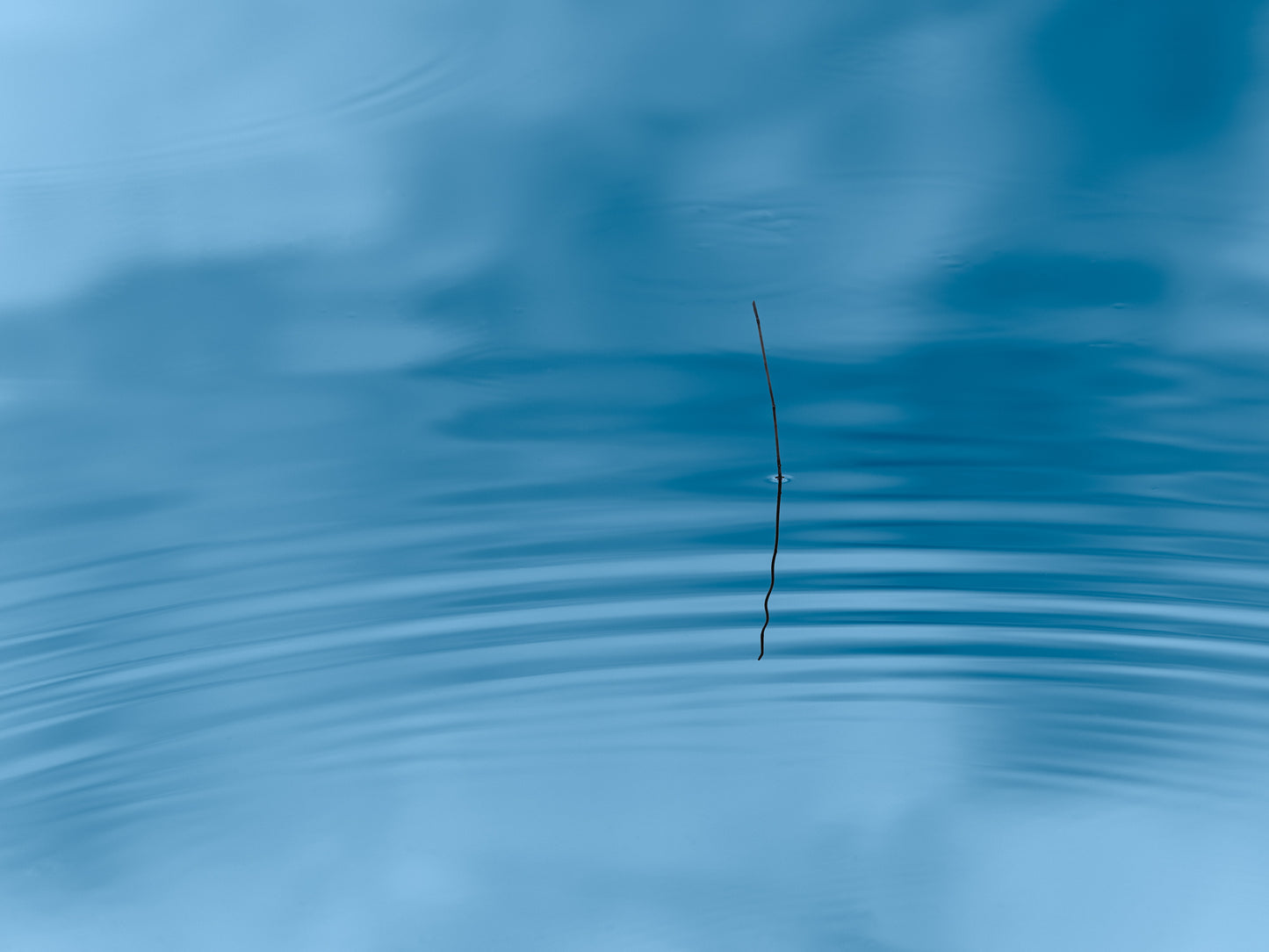 Genesis Triptych 3 - and After