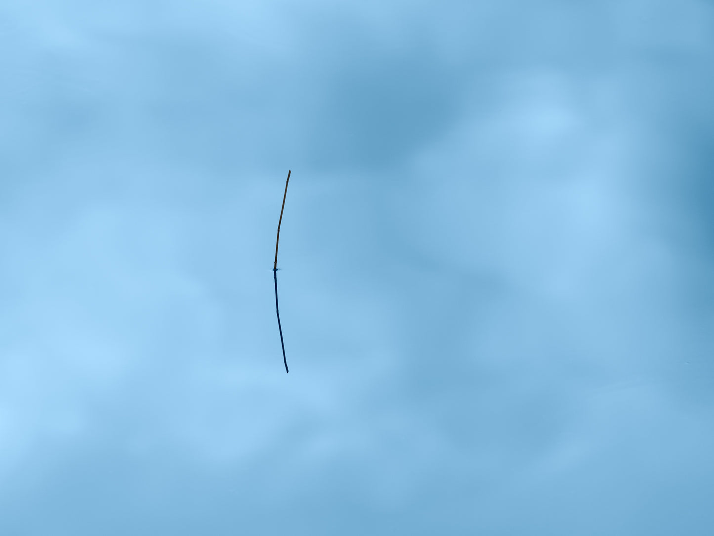 Genesis Triptych 1 - Before