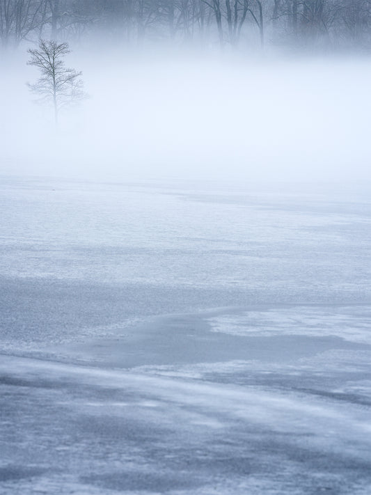 Frozen