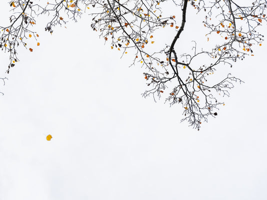 Falling