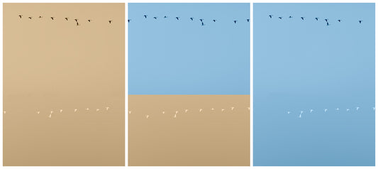 Rondos on Yellow and Blue No.1 (Triptych)