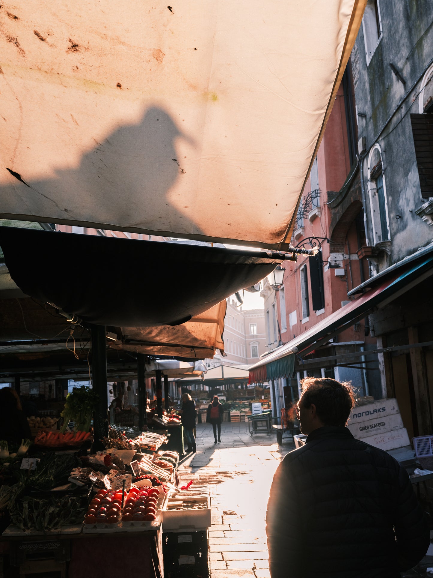 Shadow of a Bird