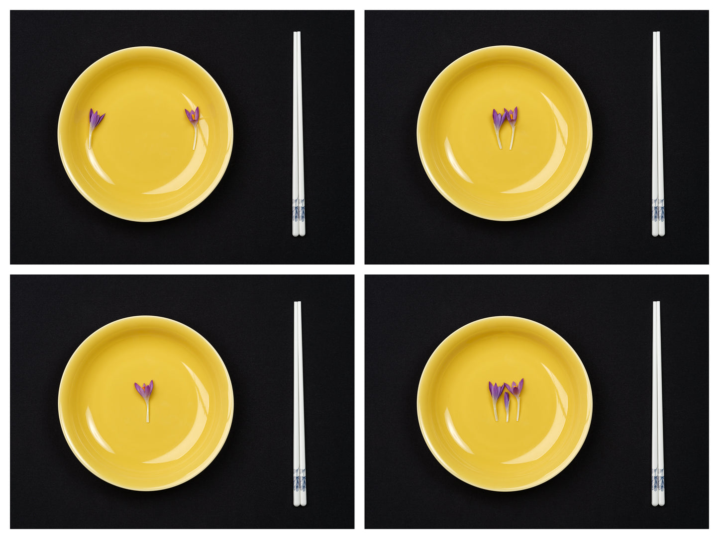 Spring on a Plate No.3