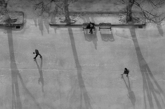 Three Trees and Three Shadows
