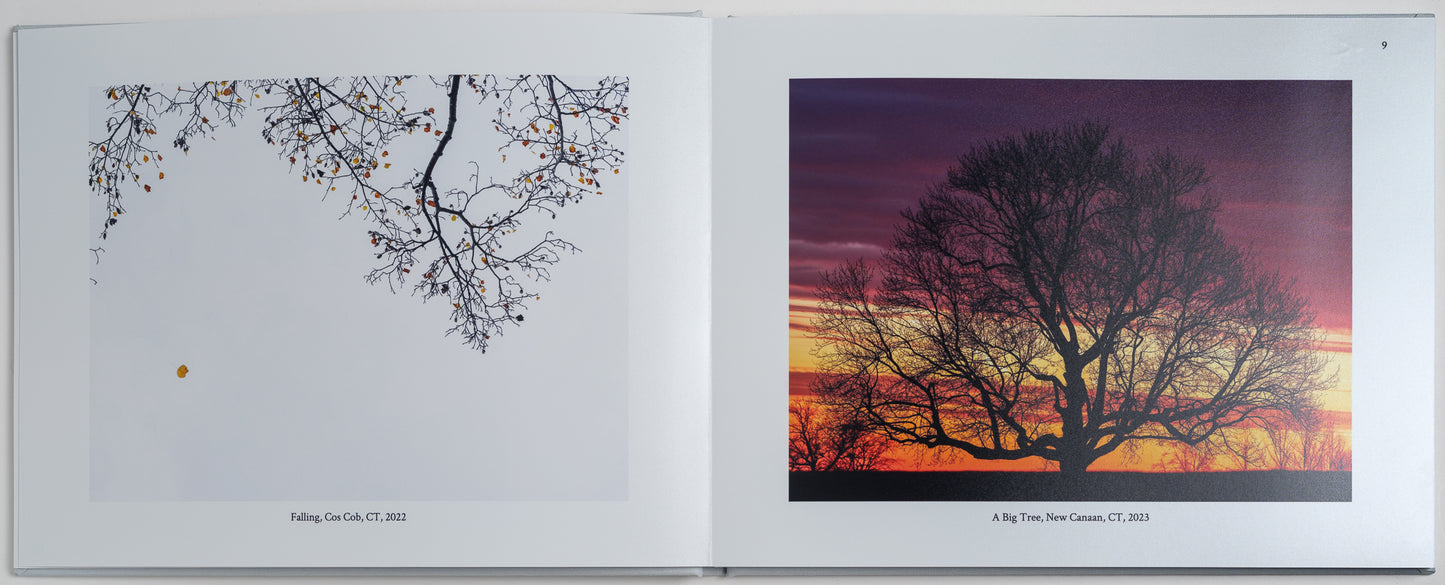 A small number, but larger than zero - Founder's Edition