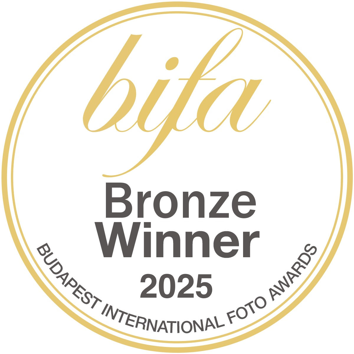 Winter on a Plate No.4