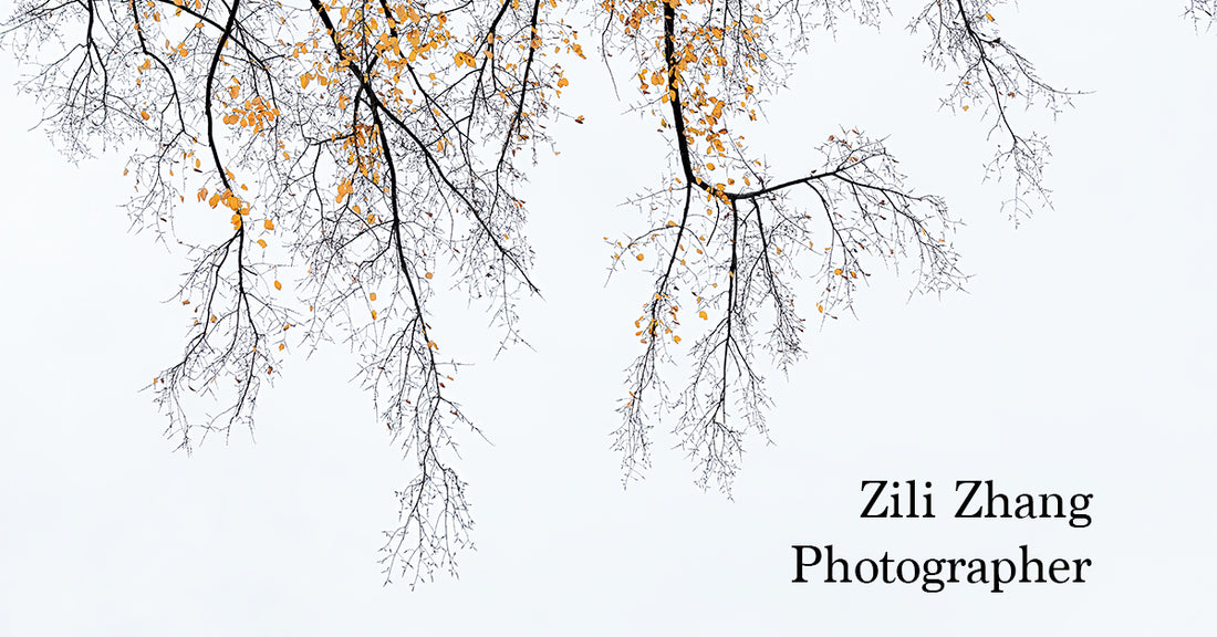 Zili Zhang Photography