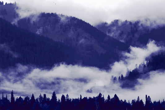 Fog Mountain #2