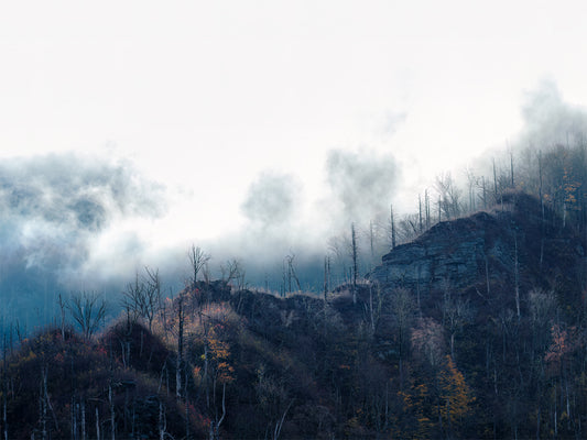Smoky